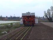 意大利法拉利(FERRARI)ROTOTRAP型移栽機(jī)作業(yè)視頻