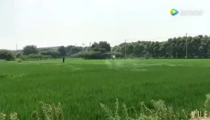 汉和航空水星一号植保无人机江苏水稻作业视频