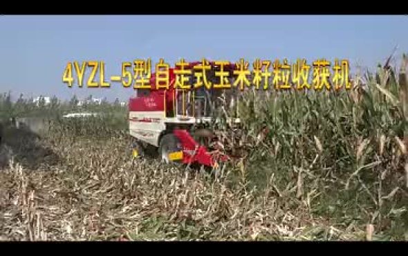 河南豪豐4YZL-5自走式玉米作業視頻