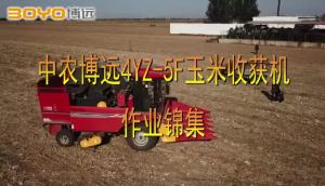 中农博远4YZ-5F玉米收获机作业集锦