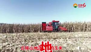 山东巨明产品大拜年-履带式玉米收获机