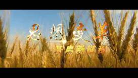 中聯(lián)重科南方農(nóng)機(jī)宣傳片-企業(yè)宣傳