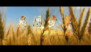 中聯重科南方農機宣傳片-企業宣傳