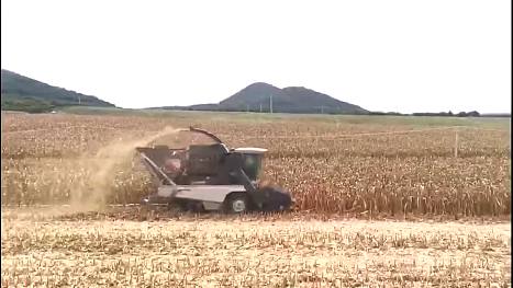 三极科技4YZSJ-4PLUS玉米收获机作业视频