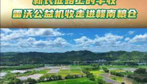 新長(zhǎng)征路上的豐收 | 雷沃公益機(jī)收走進(jìn)贛南糧倉(cāng)