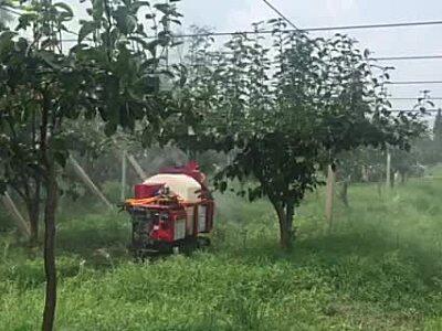 吉峰牌3WZGF-400L遙控履帶式風(fēng)送噴霧機(jī)（油動(dòng)版）作業(yè)視頻2