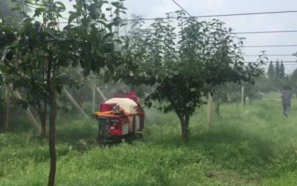 吉峰牌3WZGF-400L遙控履帶式風送噴霧機(油動版)作業視頻2